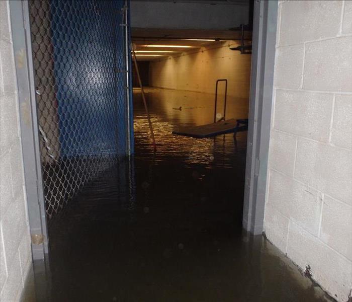 At least a foot of standing water after flooding in a large commercial basement. A door is floating in the middle ground.